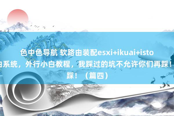 色中色导航 软路由装配esxi+ikuai+istore双路由系统，外行小白教程，我踩过的坑不允许你们再踩！（篇四）