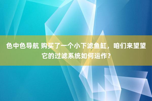 色中色导航 购买了一个小下滤鱼缸，咱们来望望它的过滤系统如何运作？