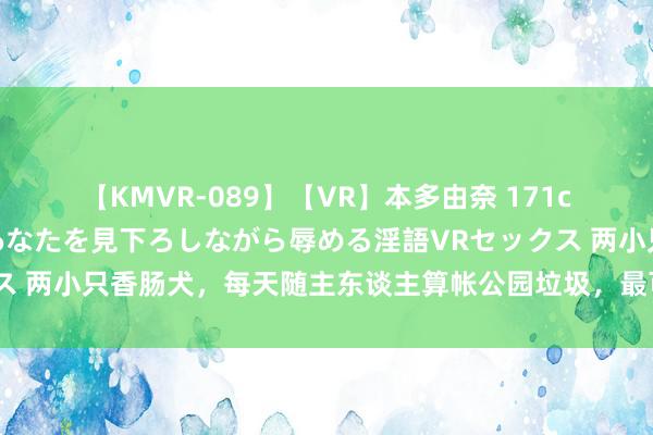 【KMVR-089】【VR】本多由奈 171cm高身長の美脚痴女があなたを見下ろしながら辱める淫語VRセックス 两小只香肠犬，每天随主东谈主算帐公园垃圾，最可人的垃圾算帐工