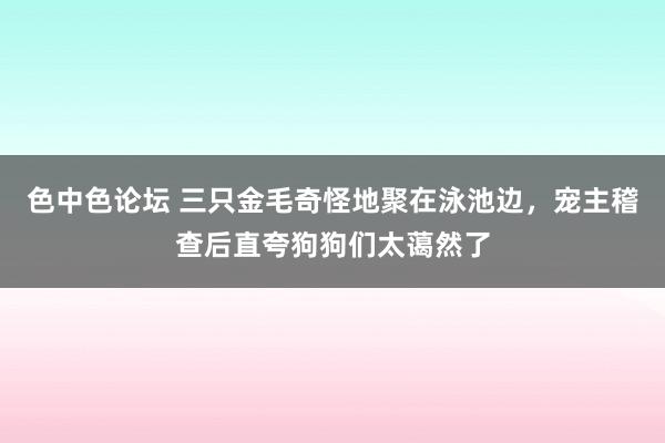 色中色论坛 三只金毛奇怪地聚在泳池边，宠主稽查后直夸狗狗们太蔼然了