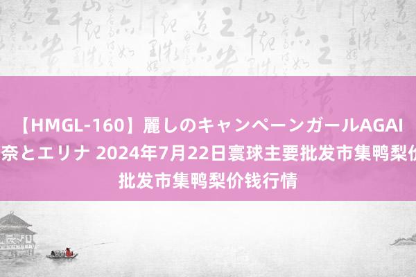 【HMGL-160】麗しのキャンペーンガールAGAIN 12 由奈とエリナ 2024年7月22日寰球主要批发市集鸭梨价钱行情