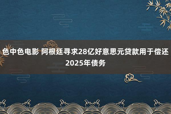 色中色电影 阿根廷寻求28亿好意思元贷款用于偿还2025年债务