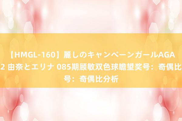 【HMGL-160】麗しのキャンペーンガールAGAIN 12 由奈とエリナ 085期顾敏双色球瞻望奖号：奇偶比分析