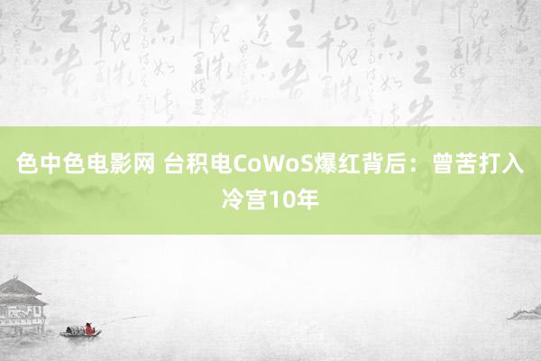 色中色电影网 台积电CoWoS爆红背后：曾苦打入冷宫10年