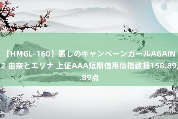 【HMGL-160】麗しのキャンペーンガールAGAIN 12 由奈とエリナ 上证AAA短期信用债指数报158.89点