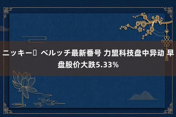 ニッキー・ベルッチ最新番号 力盟科技盘中异动 早盘股价大跌5.33%