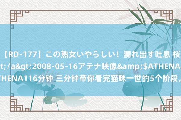 【RD-177】この熟女いやらしい！漏れ出す吐息 桜色に染まる肌</a>2008-05-16アテナ映像&$ATHENA116分钟 三分钟带你看完猫咪一世的5个阶段，你家猫咪当今多大了？