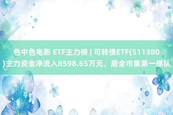 色中色电影 ETF主力榜 | 可转债ETF(511380)主力资金净流入8598.65万元，居全市集第一梯队