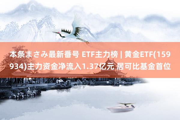 本条まさみ最新番号 ETF主力榜 | 黄金ETF(159934)主力资金净流入1.37亿元 居可比基金首位