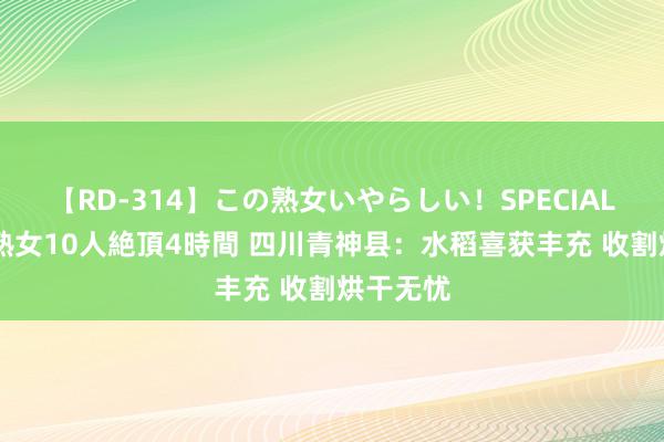 【RD-314】この熟女いやらしい！SPECIAL 魅惑の熟女10人絶頂4時間 四川青神县：水稻喜获丰充 收割烘干无忧