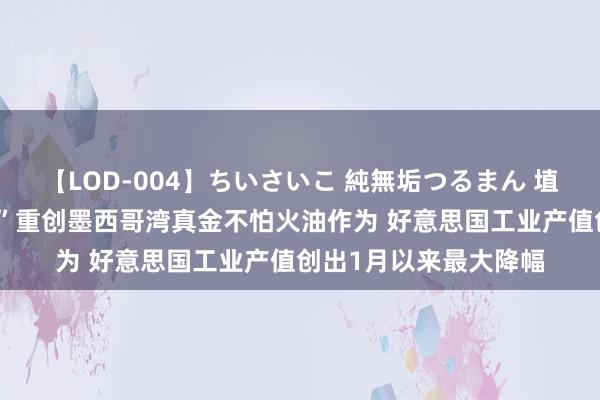 【LOD-004】ちいさいこ 純無垢つるまん 埴生みこ 飓风“贝里尔”重创墨西哥湾真金不怕火油作为 好意思国工业产值创出1月以来最大降幅