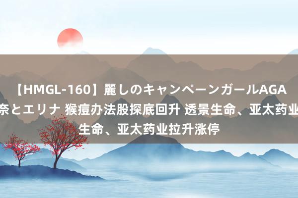 【HMGL-160】麗しのキャンペーンガールAGAIN 12 由奈とエリナ 猴痘办法股探底回升 透景生命、亚太药业拉升涨停