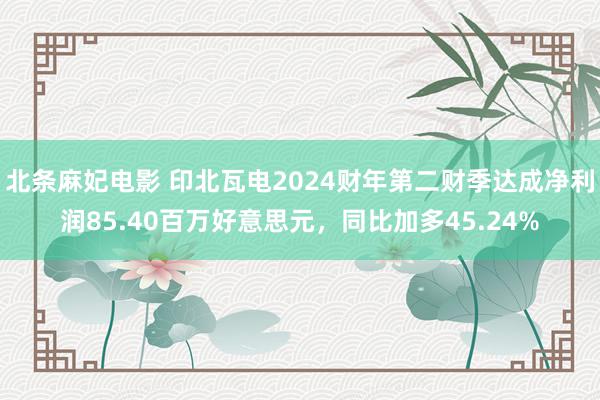 北条麻妃电影 印北瓦电2024财年第二财季达成净利润85.40百万好意思元，同比加多45.24%