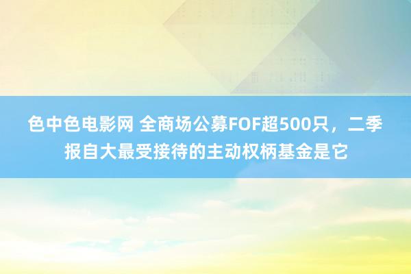 色中色电影网 全商场公募FOF超500只，二季报自大最受接待的主动权柄基金是它