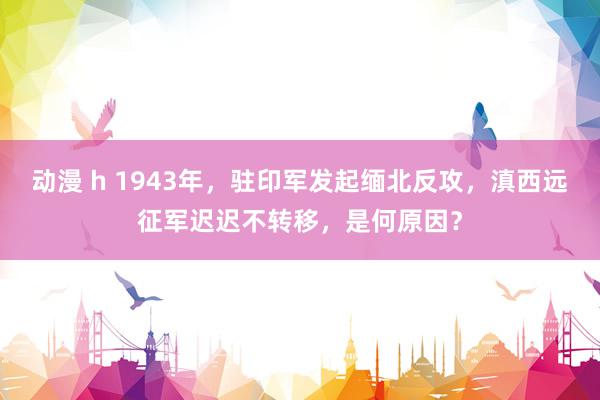 动漫 h 1943年，驻印军发起缅北反攻，滇西远征军迟迟不转移，是何原因？