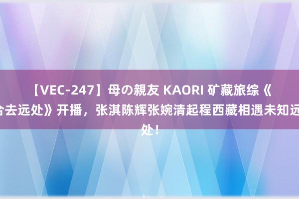 【VEC-247】母の親友 KAORI 矿藏旅综《偶合去远处》开播，张淇陈辉张婉清起程西藏相遇未知远处！