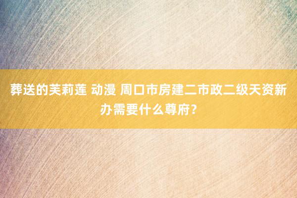 葬送的芙莉莲 动漫 周口市房建二市政二级天资新办需要什么尊府？