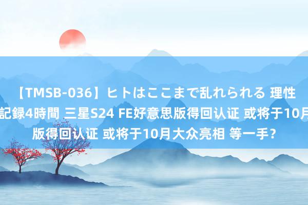 【TMSB-036】ヒトはここまで乱れられる 理性崩壊と豪快絶頂の記録4時間 三星S24 FE好意思版得回认证 或将于10月大众亮相 等一手？