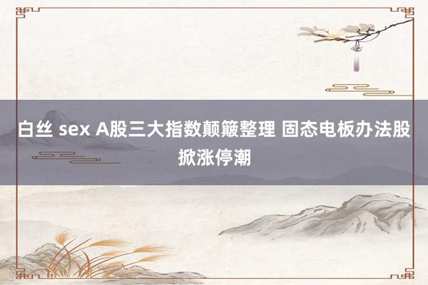 白丝 sex A股三大指数颠簸整理 固态电板办法股掀涨停潮